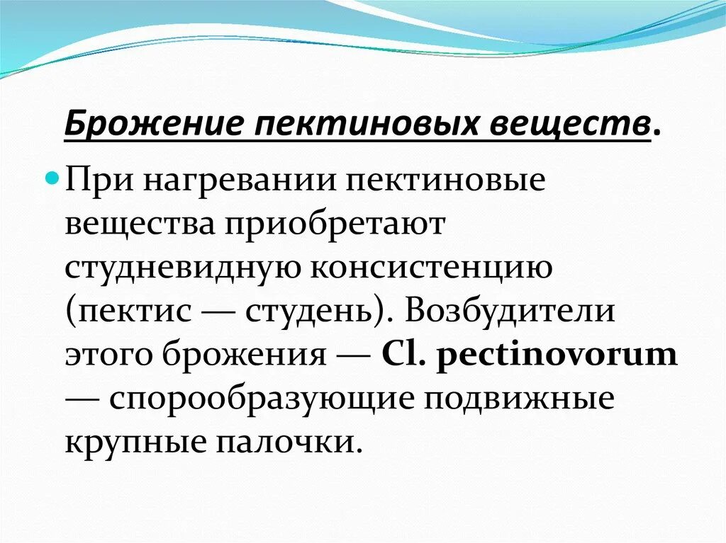 Пектиновое брожение возбудители. Брожение пектиновых веществ. Маслянокислое брожение пектиновых веществ. Брожение пектина. К брожению способны