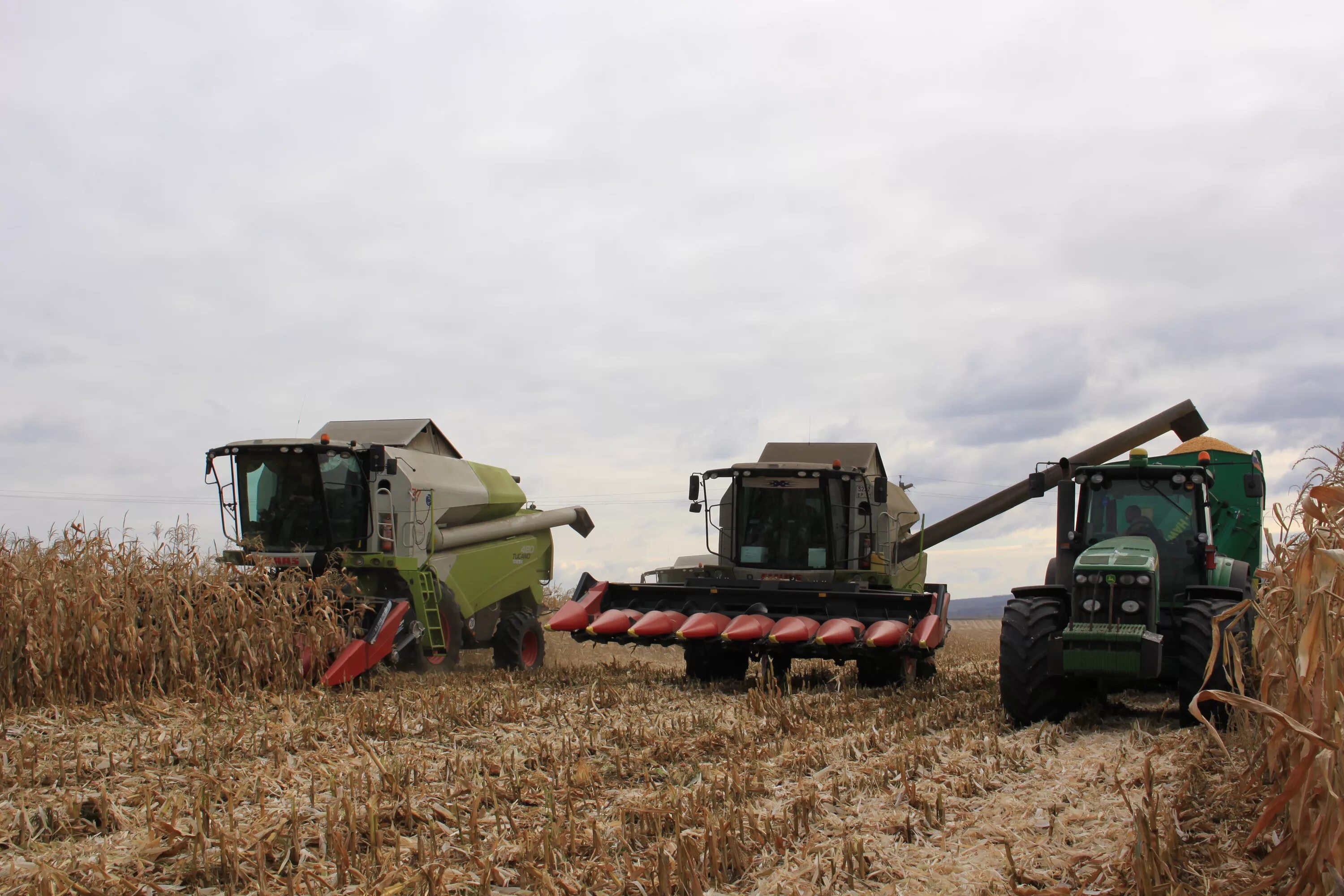 Зао пз "агро-балт". Зао агроинвест. Рз агро красная звезда. Рз агро. Зао серволюкс агро сертификат халяль.