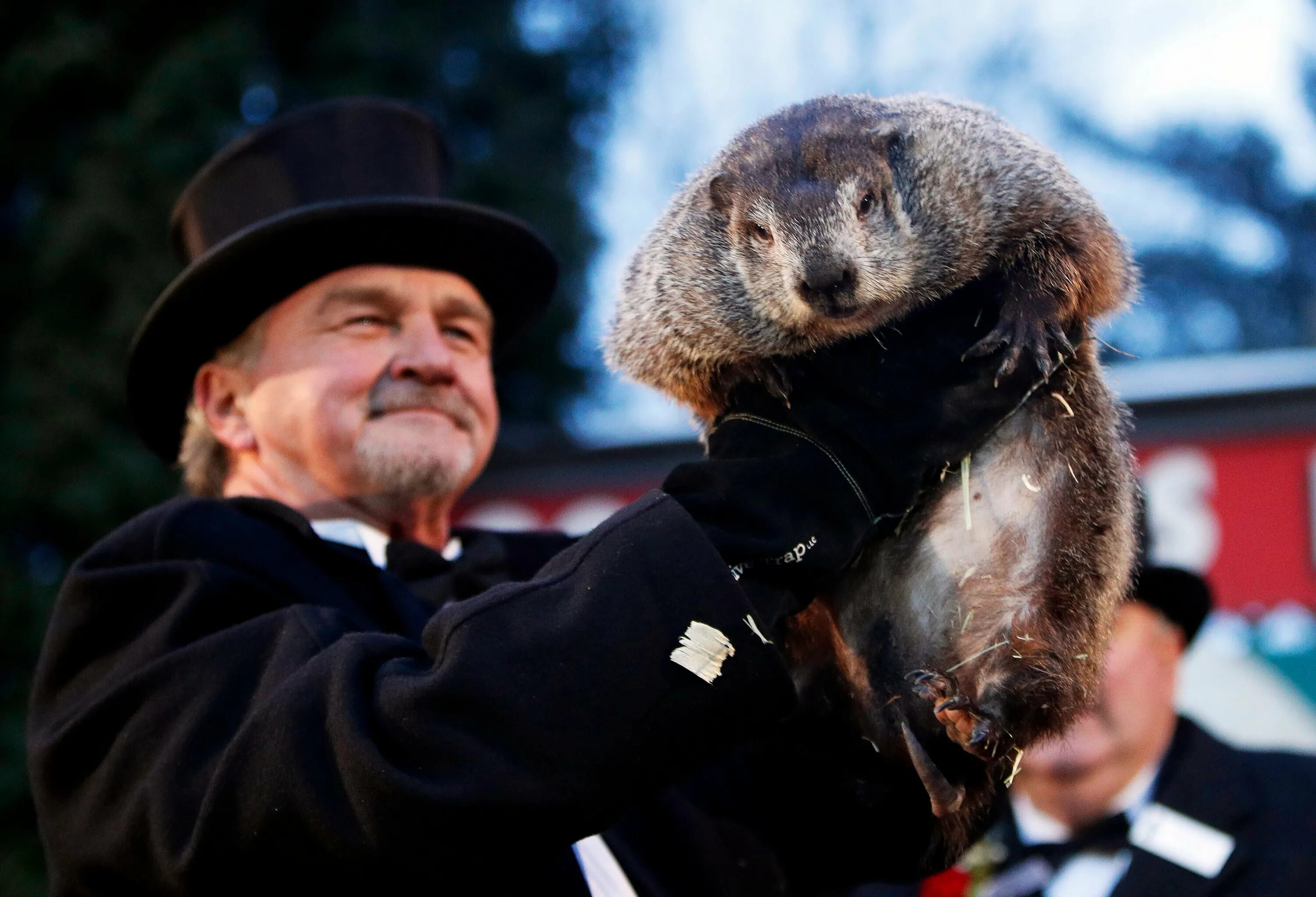 День сурка фила. Punxsutawney Phil. Сурок Панксатони Фил. День сурка (Groundhog Day). Панксатони штат Пенсильвания.