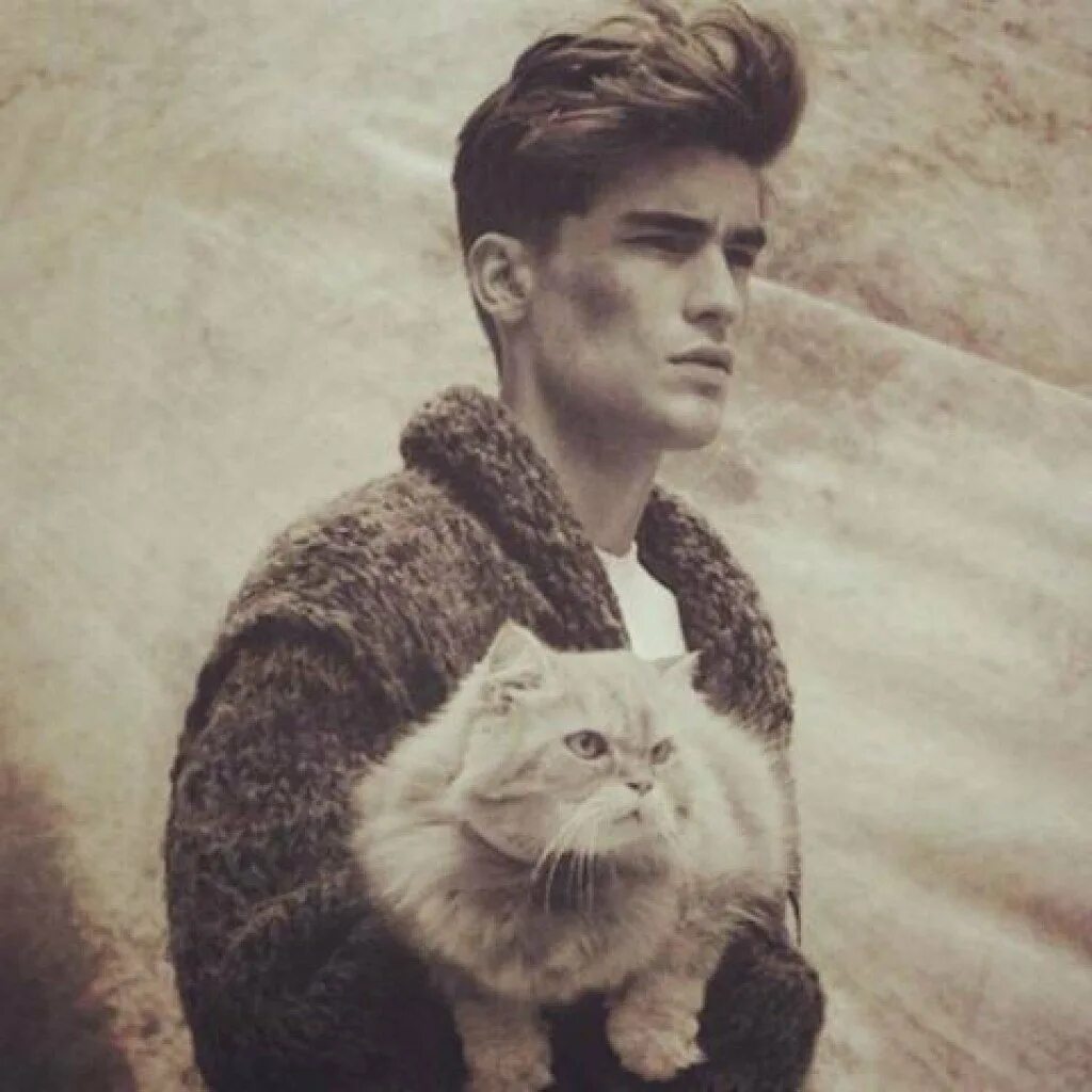Парень котик. Красивый кот мальчик. кот красавец. парень 18 лет с котом. кот кевин.