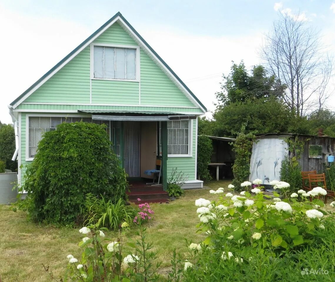 днп ветеран. самые крутые дачи под минском. дача в минске. минские дачи. дачи по рязанке.