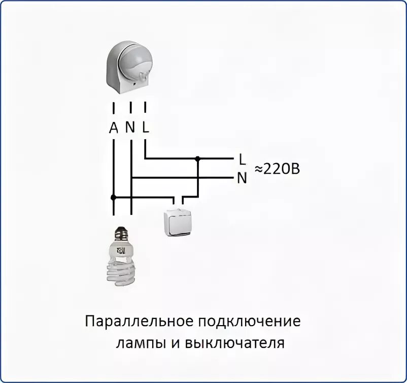 Параллельное подключение ламп. Схема подключения 2 датчиков движения на 2 лампочки. Схема подключения 2 лампочек к 1 выключателю параллельно. Схема подключения параллельного подключения лампочек. Схема последовательного подключения светильников.