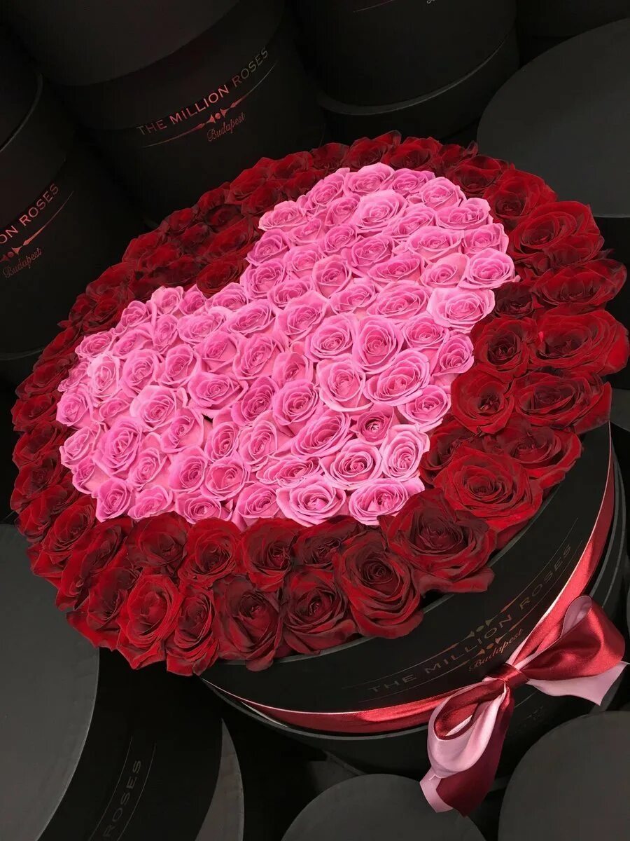 Миллион роз купить. Огромный букет. Огромные букеты из роз. Миллион роз. Шикарный букет роз.