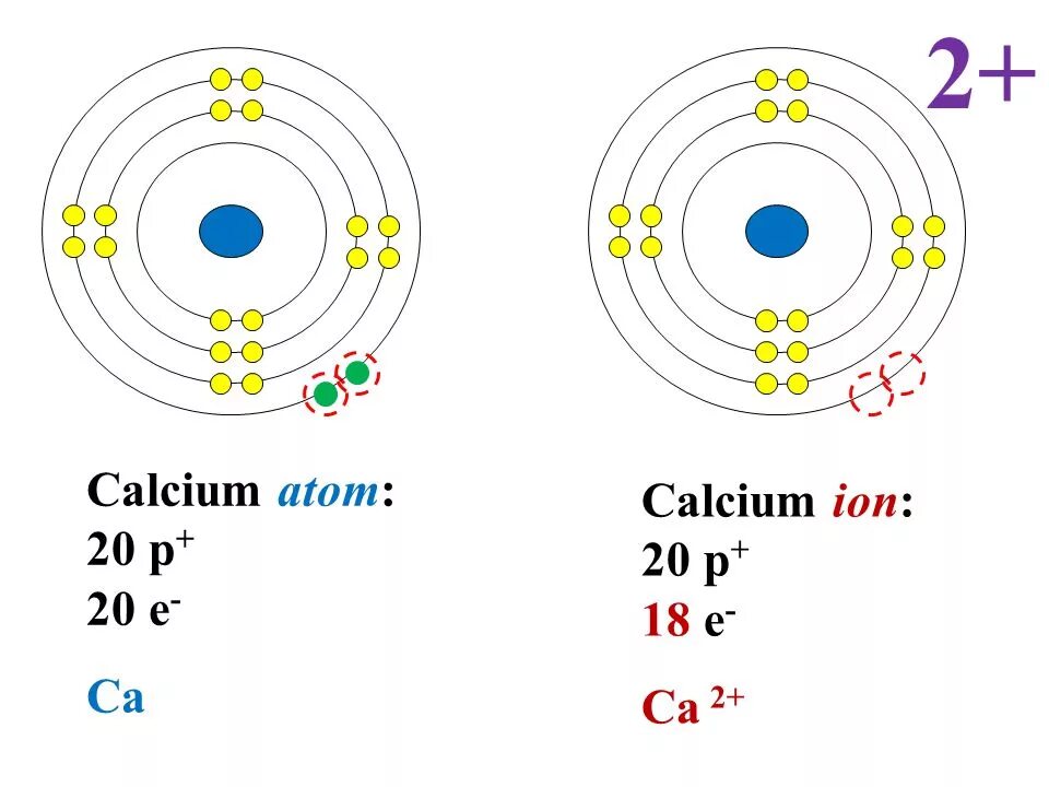 Сколько атомов в кальции. Атомное строение кальция. Электронная конфигурация кальция. Электронная схема атома CA. Строение ядра атома кальция.