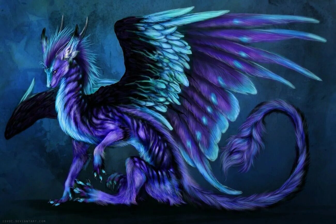 Фиолетовая фурия дракон. Фиолетовый дракон виверна. Сапфирный дракон. Урракс дракон.