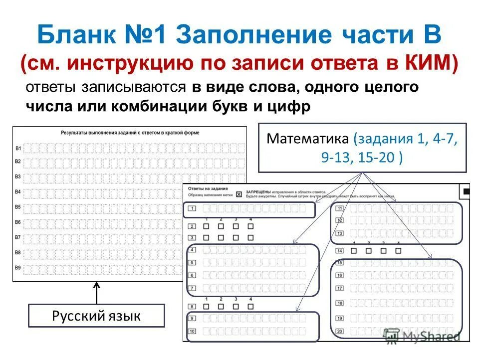 Образец бланка по математике