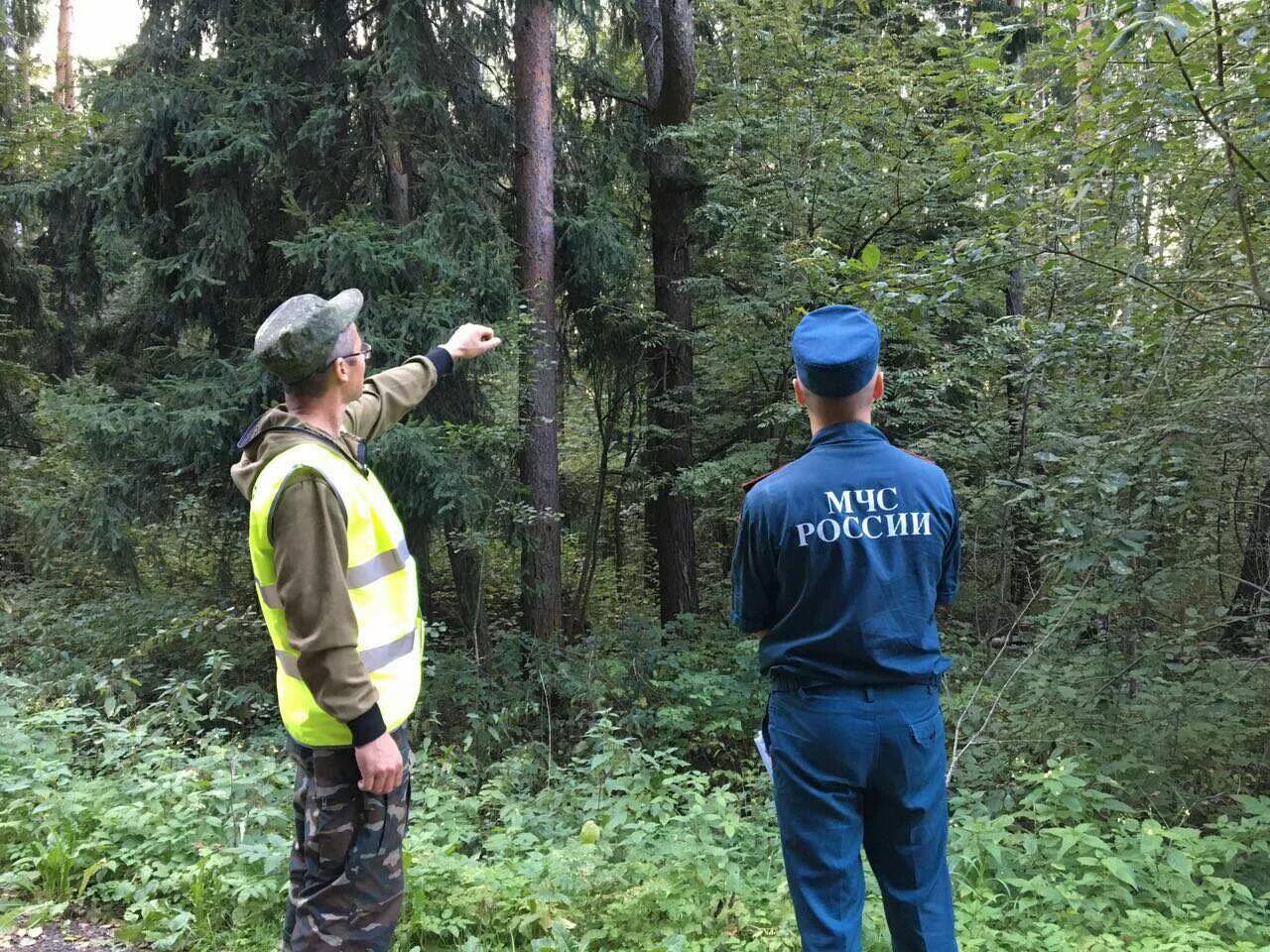 Лес гражданину рф. Звенигородское лесничество Мособллес. Патрулирование леса. Лесная охрана. Лесная охрана патрулирование.