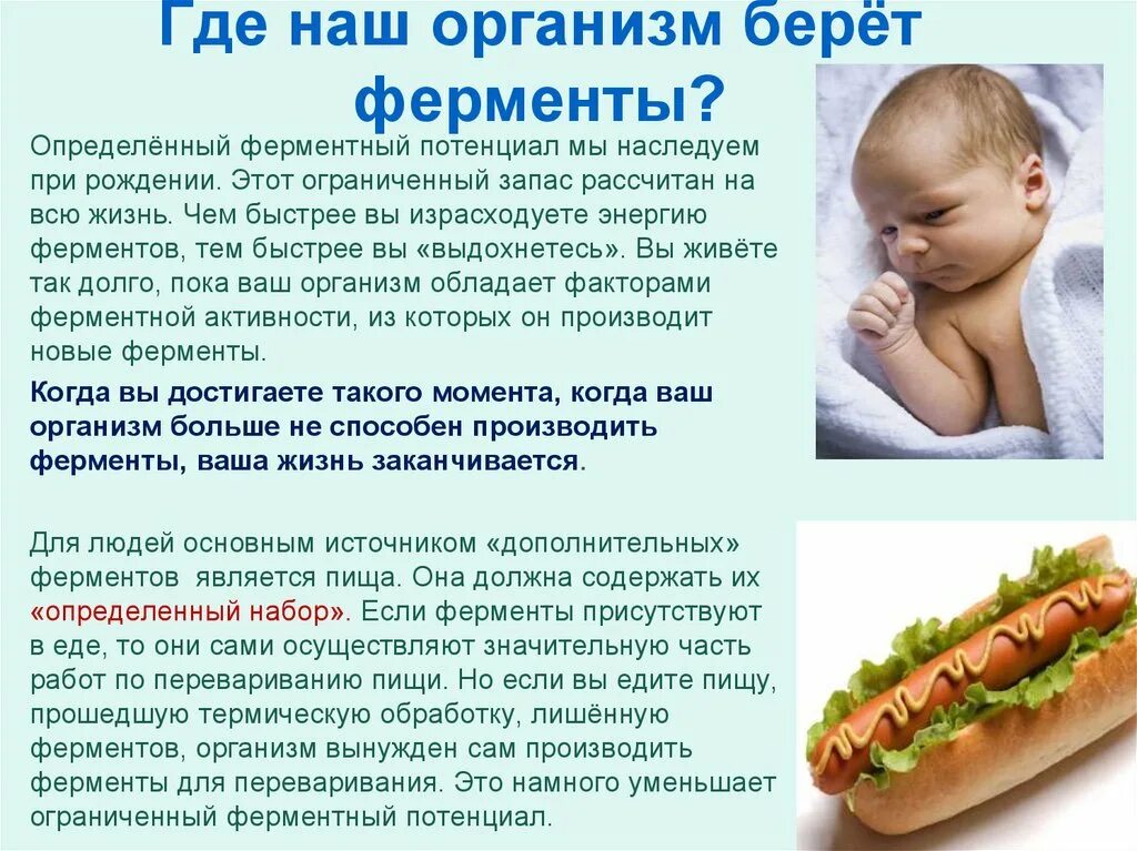 Пищеварительные ферменты продукты. Откуда берутся ферменты. Откуда берутся ферменты в организме человека. Фермент для переваривания овощей. Ферменты в пище.