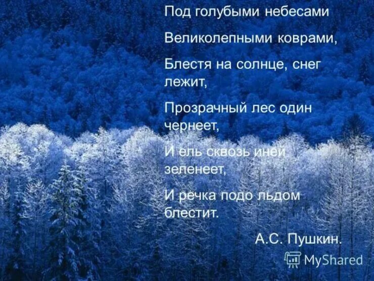 Словосочетания на зимнюю тему. Стихи про снег. Красивые стихи про снег. Красивые высказывания о зиме. Цитаты про зиму.