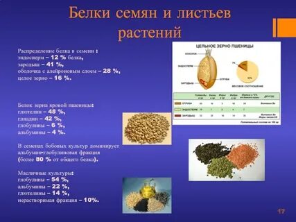 Содержание белков в зерне