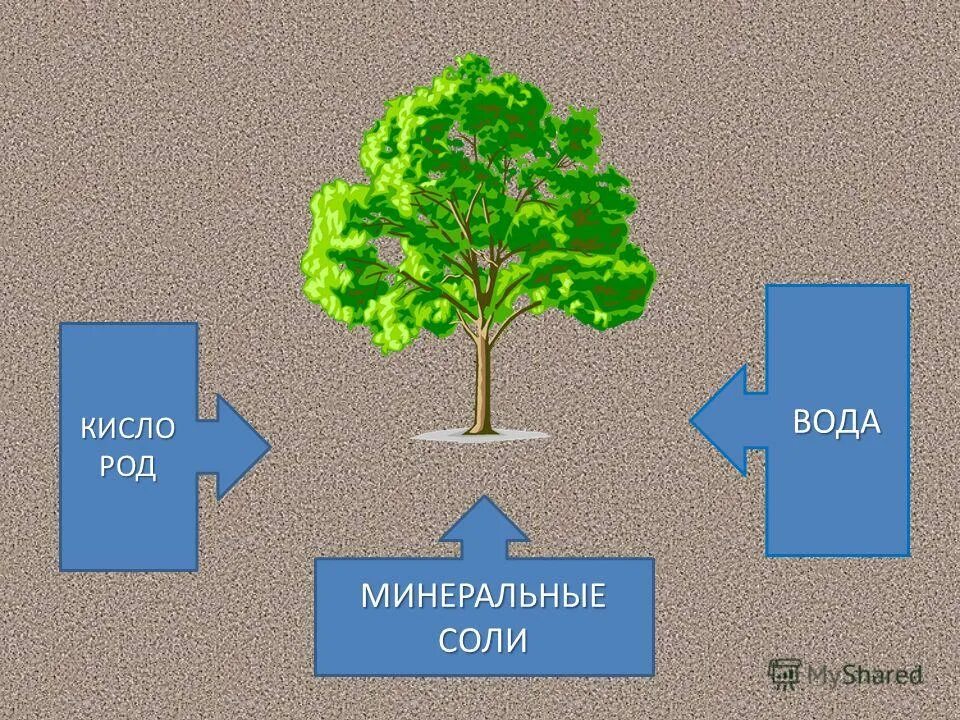 Вода киснет. Вода и Минеральные соли. Рисунок вода и Минеральные соли. Кисли вода.