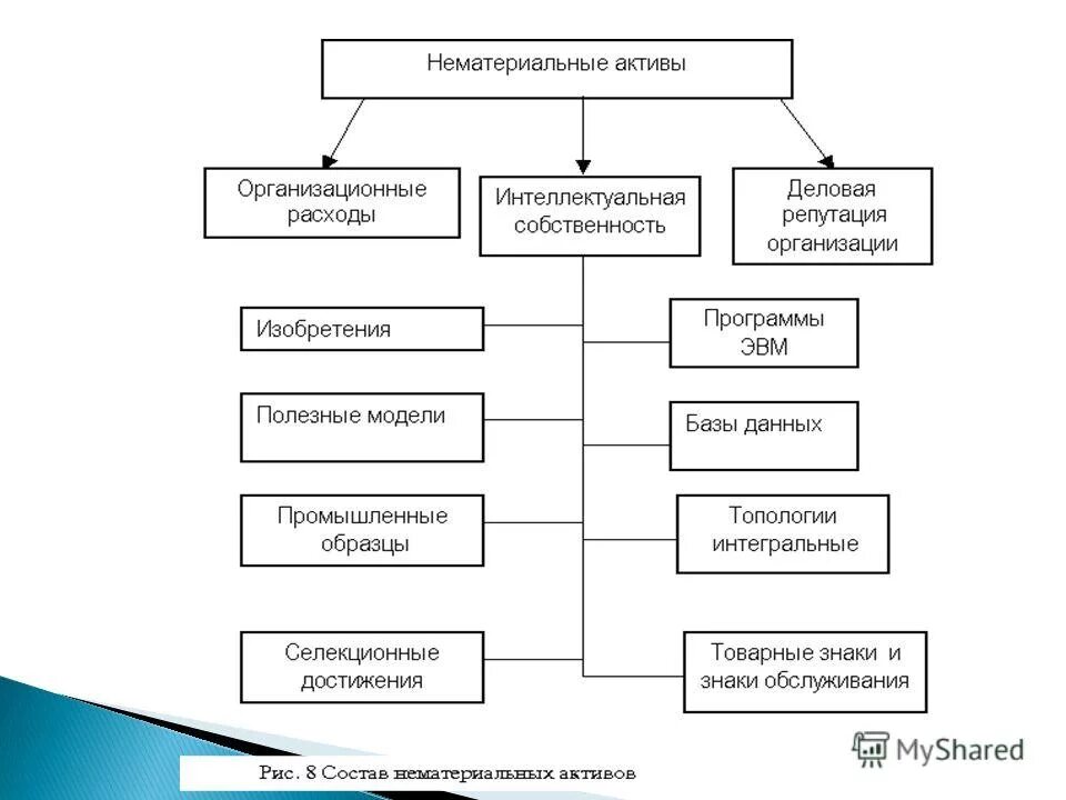 Универсальными организациями являются