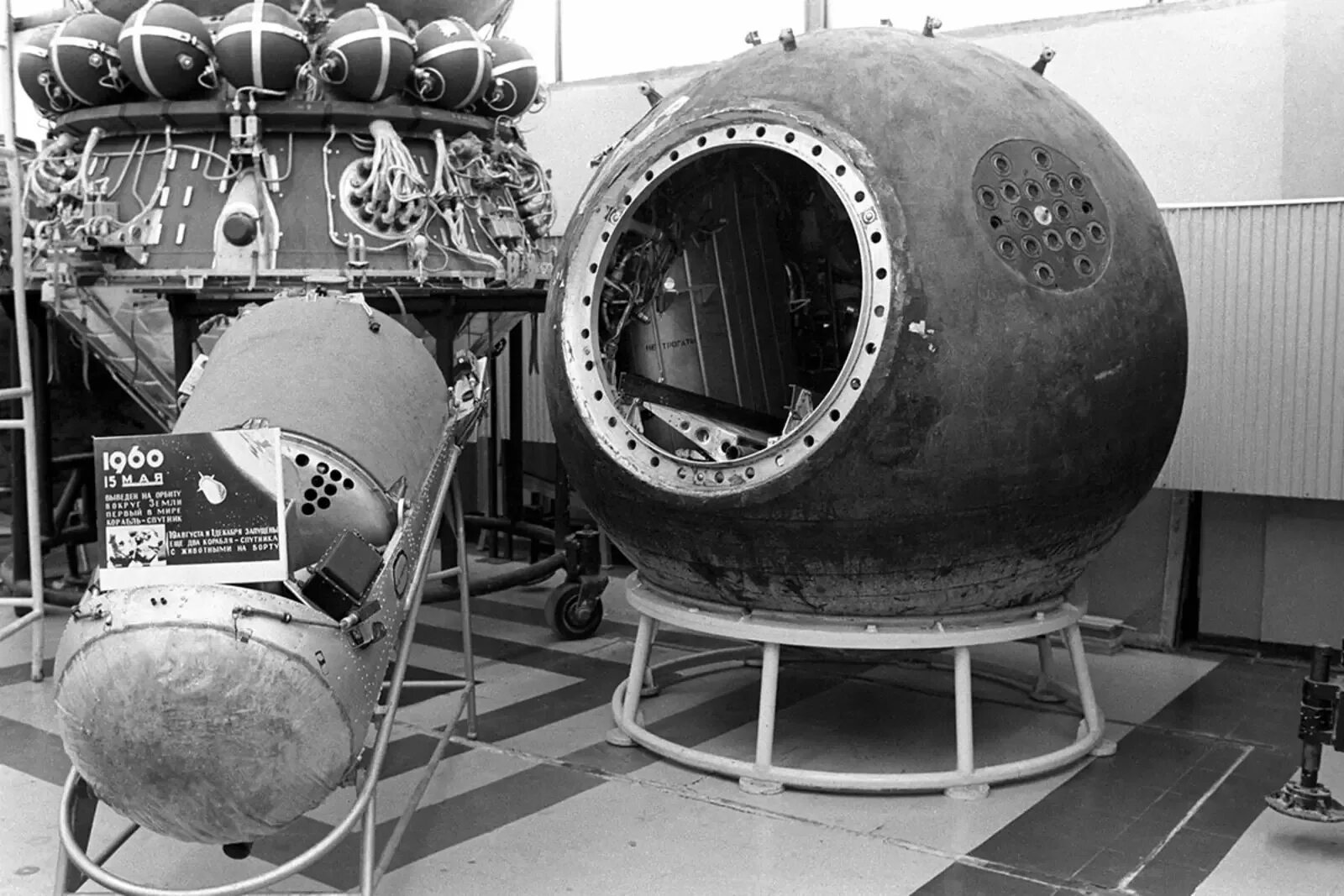 Корабль восток белка и стрелка. 1960 полёт белки и стрелки в космосе. Спутник 5. 6. Спутник 5.