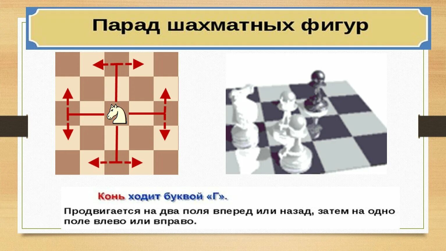 Сколько фигур в шахматах всего. Название фигур в шахматах. название всех фигур в шахматах. названия шахматных фигур с картинками. шахматы мк.