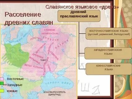 Южнославянская ветвь языков