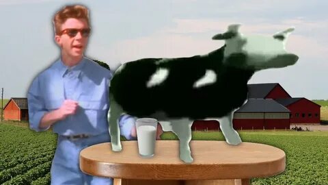 Polish cow