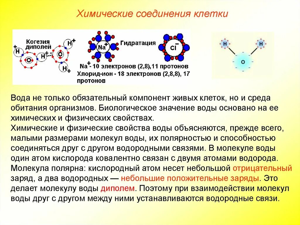 Химические соединения клетки. Органические и неорганические вещества в воде. Схема неорганические вещества клетки.