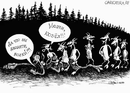 Анекдоты серый волк