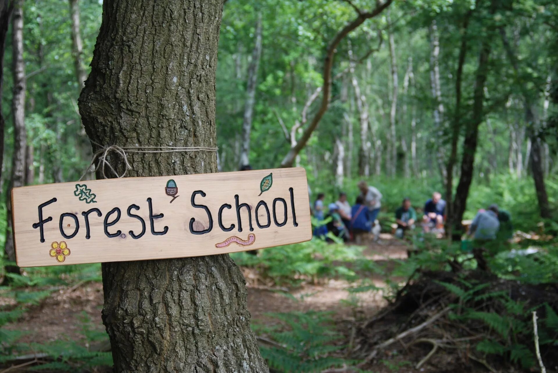 Forest school london. Приключение лес логотип. "forest school / лесная школа" скрап. Школа форест. School in forest.