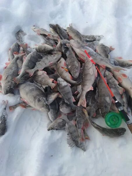 Балымер городище. Погода в балымерах татарстан. Природа балымеры. Скит балымеры. Погода в балымерах татарстан.