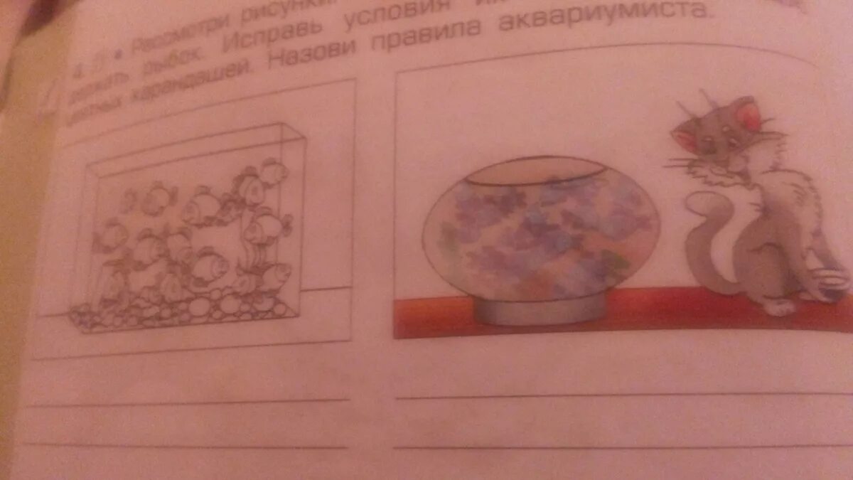 Рассмотрите рисунок 152 в и объясните почему. Рассмотри рисунок.. Рассмотрите иллюстрации на с 34-35. Рассмотрите иллюстрации на стр 34 35. Рассмотрите иллюстрации на с 34-35 учебника.