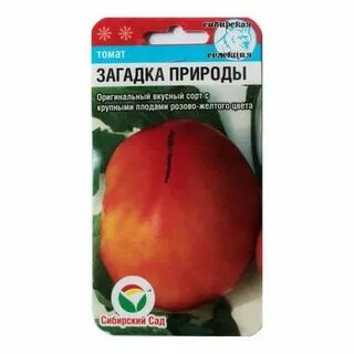 Помидор загадка природы