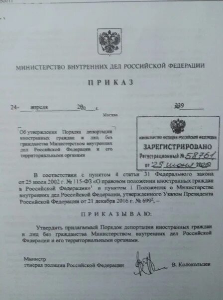 Приказ мвд россии от 31 мая 2011 года 600. 249 приказ мвд колокольцева. Приказ мвд. Приказ 007 мвд рф. 10.
