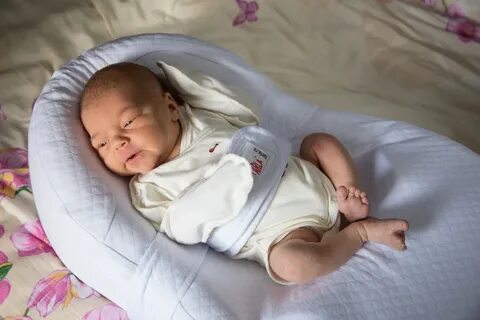 Baby shell