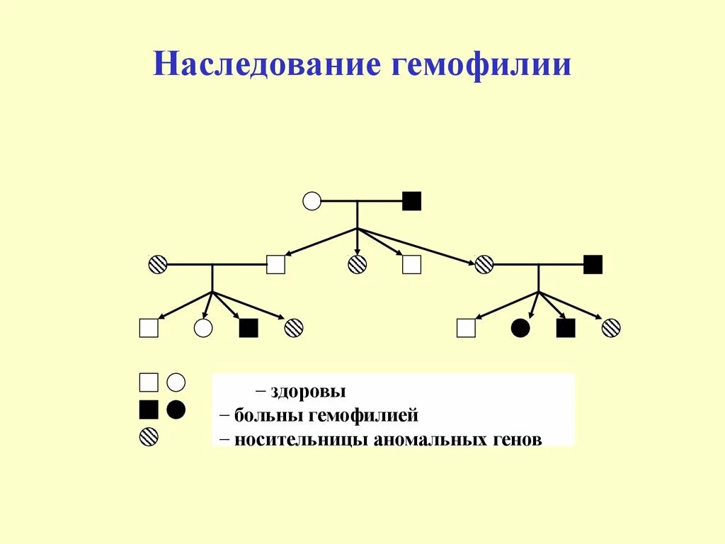 Дети больные гемофилией. Гемофилия Тип наследования. Тип наследования при гемофилии. Тип наследования болезни гемофилии.