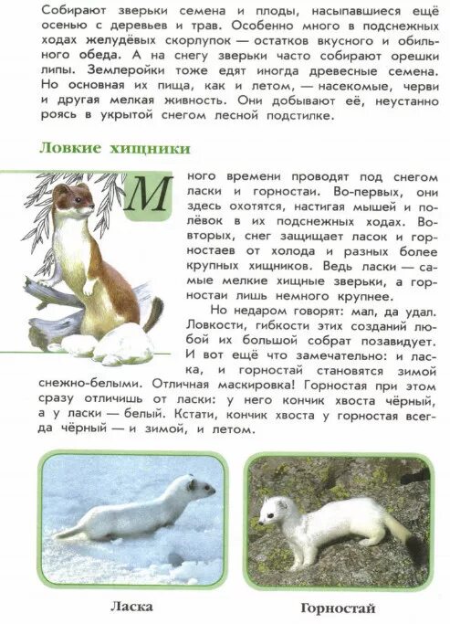 Красный волк из красной книги. Зеленые страницы красной книги животные. Зелёные страницы о животных. Книга зелёные страницы про животного. Используя книгу зеленые страницы подготовь сообщение об одном.