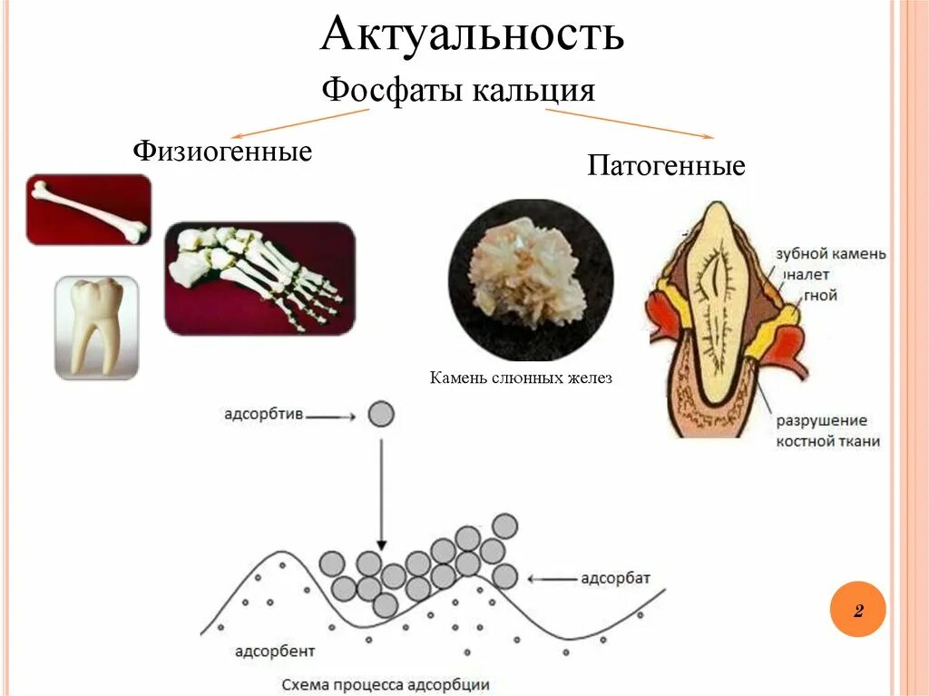 Фосфоре кальции железе