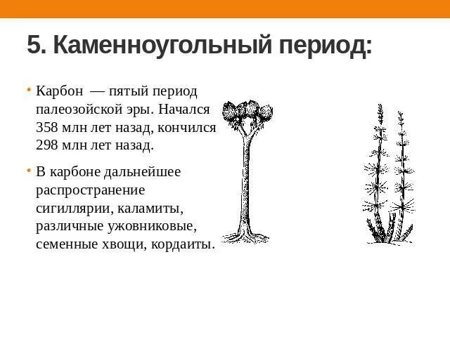 Палеозойская эра каменноугольный период период. Период каменноугольный событие. Палеозойская эра карбон климат. Каменноугольный период основные события. Период каменноугольный событие.