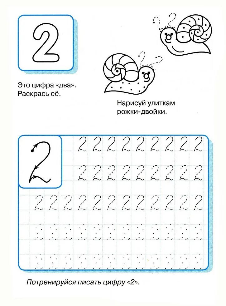 Как сделать цифры прописью. Прописи написание цифры 2 для дошкольников. число и цифра 2 прописи для дошкольников. прописать цифру 2 для дошкольников. цифра 3 прописная для детей дошкольников.