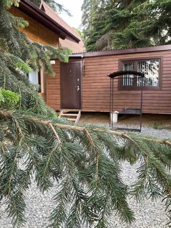 Древнерусское поселение сугорье вологодской области. Альпийские луга лаванда. Горная лаванда архыз. Горная лаванда гостевой дом в адыгее. Лаванда архыз.