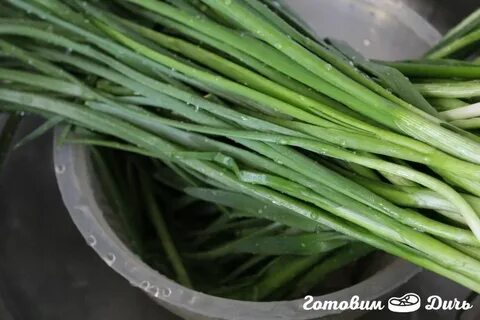 Стал зеленым луком