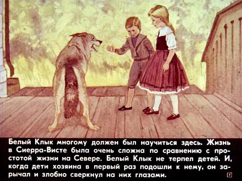 Белый клык содержание. Рассказ белый клык. белый клык краткое содержание. пересказ белый клык. белый клык и колли.