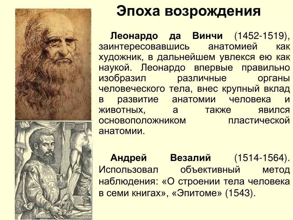 Биология в эпоху возрождения. Эпоха Леонардо да Винчи. Леонардо да Винчи философия основные идеи. Леонардо да Винчи философия Возрождения. Леонардо да Винчи (1452-1519).