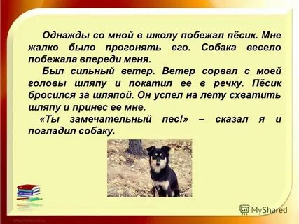 Однажды со мной