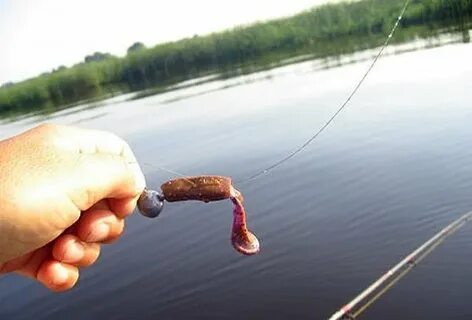 На что ловят сома летом наживка
