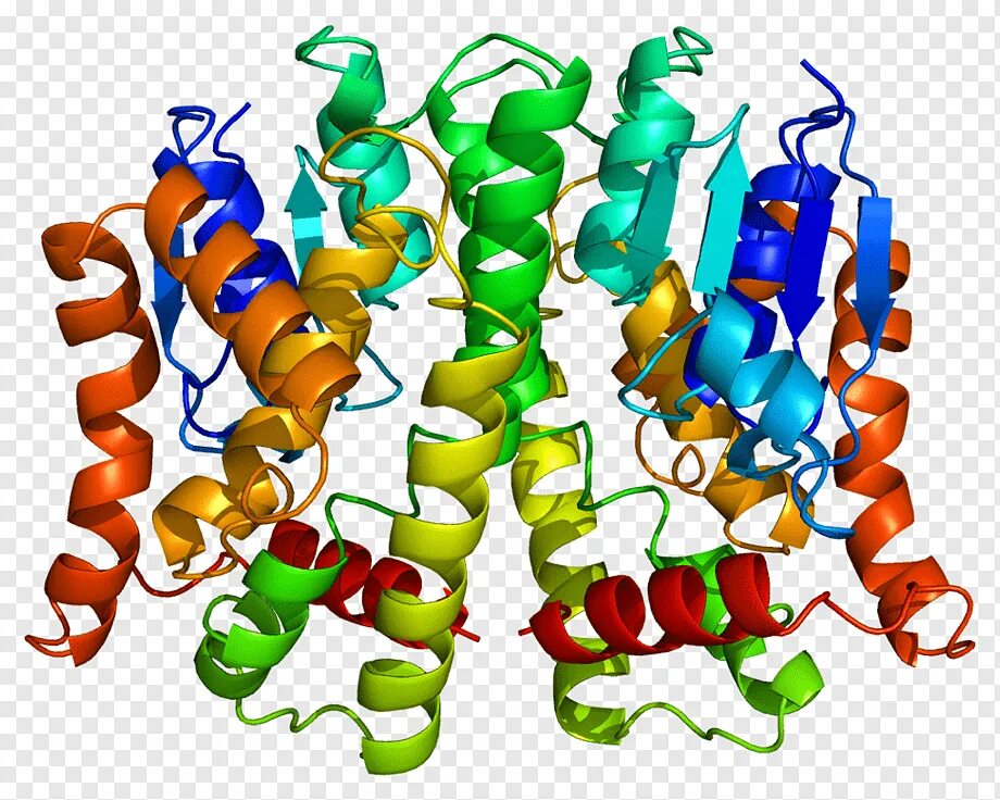Ген белок фермент. Глутатион-s-трансферазы. С1 трансферазы. Ферменты трансферазы. Глутатионтрансфераза фермент.