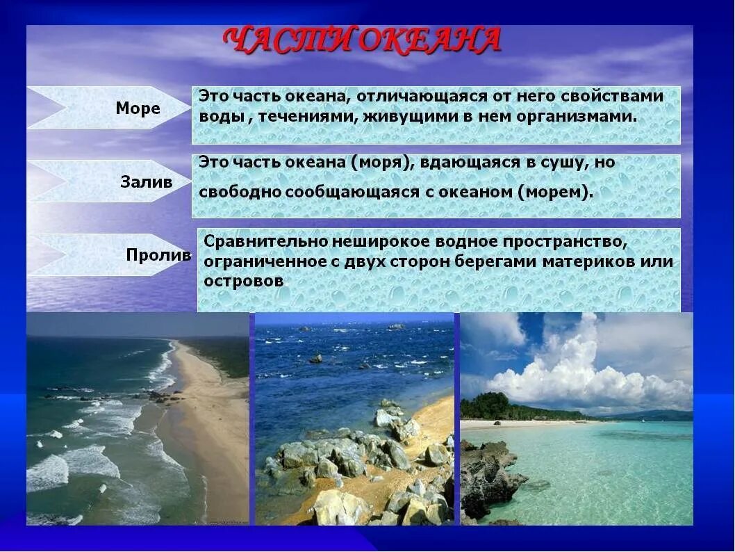 Части океана 5 класс. Части океана. Море часть океана. Море и океан разница. Отличие моря от океана.