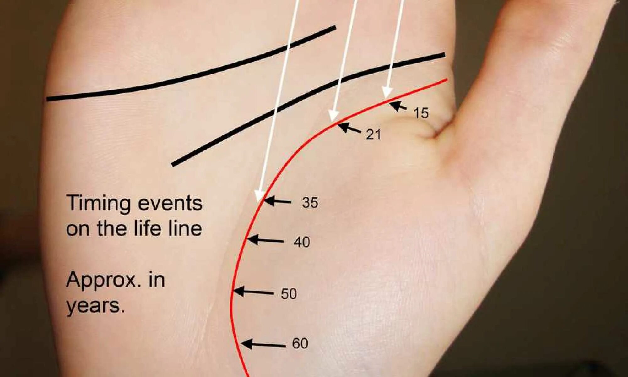Life is line. Бугорок Юпитера на руке. Линия Сатурна палмистри. Palmistry correction line. The Life of lines.