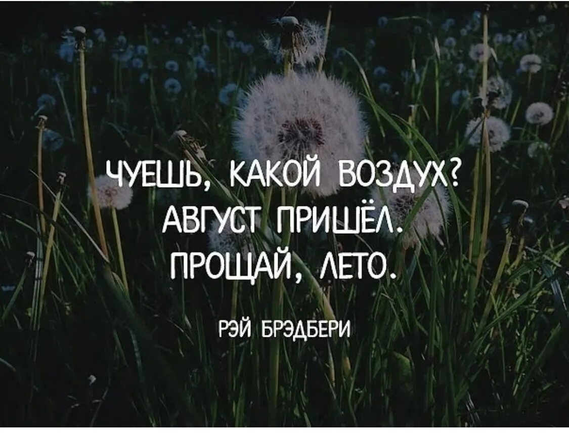 Уходящий август цитаты. Лето август цитаты. цитаты про август. цитаты про август красивые. красивые фразы про август.