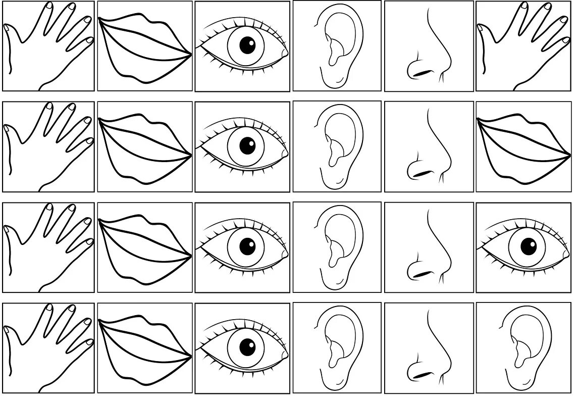 Органы чувств задания. Органы чувств раскраска. Органы чувств для дошкольников. Органы для дошкольников. Раскраска органы чувств для детей.