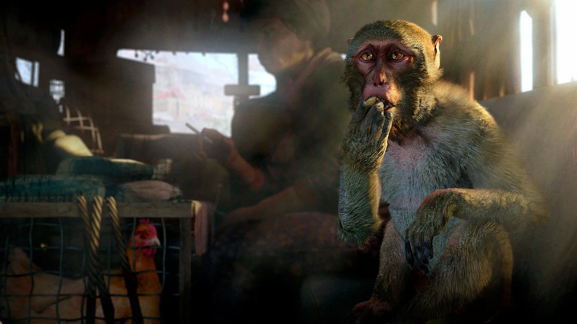 Часть обезьян 4. Far Cry 4. Обезьяна. Far Cry 4 фото.