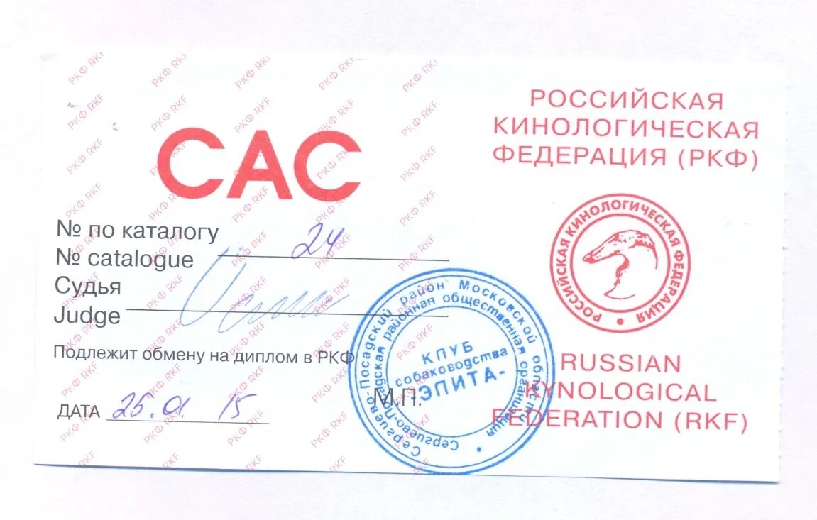 Кк ркф. Присуждение титулов на выставках собак ркф. титулы собак на выставках расшифровка ркф. титул гранд чемпион ркф. юный чемпион ркф.