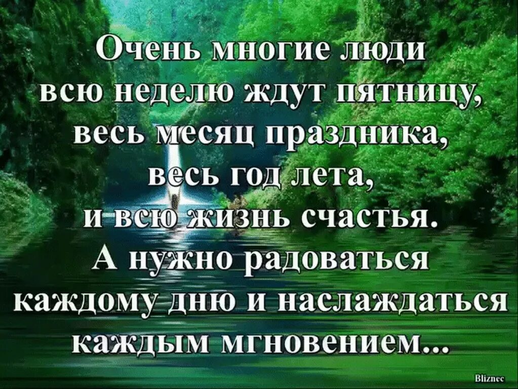 В последние годы очень многие