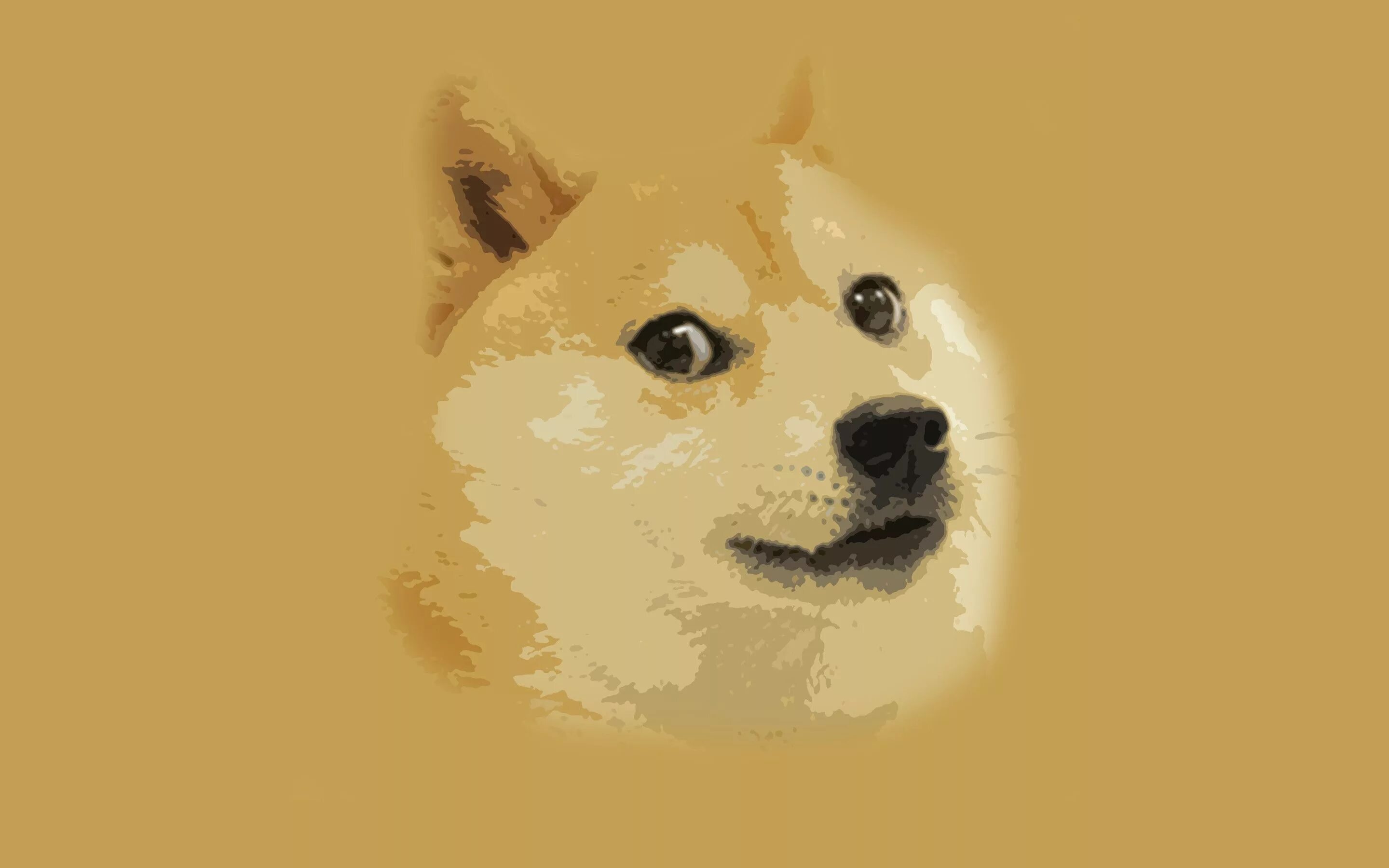 Голова собаки мем. Шиба ину doge. сиба-ину кабосу. доги мем. собака мем.