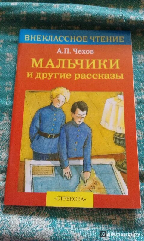 Чехов мальчики. Рассказ Чехова мальчики. Мальчики и другие рассказы Чехов.