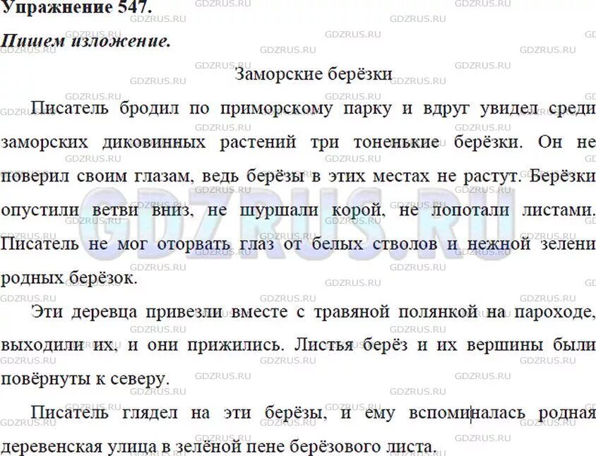 Родные березки изложение. Изложения 5 класс русский язык. Изложение по русскому языку 5 класс упражнение 547. Изложения 5 класс русский. Изложение про три березы.